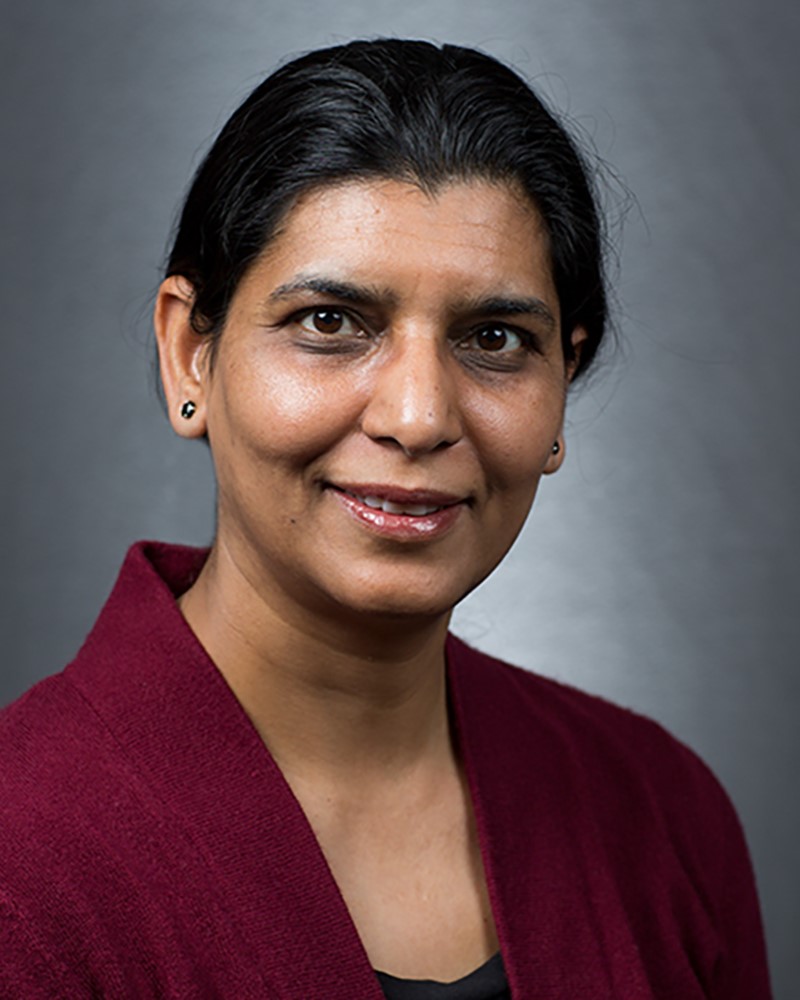 Jasmeet Judge, <em>University of Florida, Gainesville, USA</em>